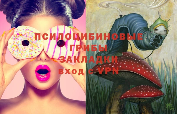 стаф Балахна