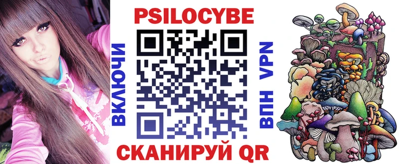 Галлюциногенные грибы Psilocybe Барабинск